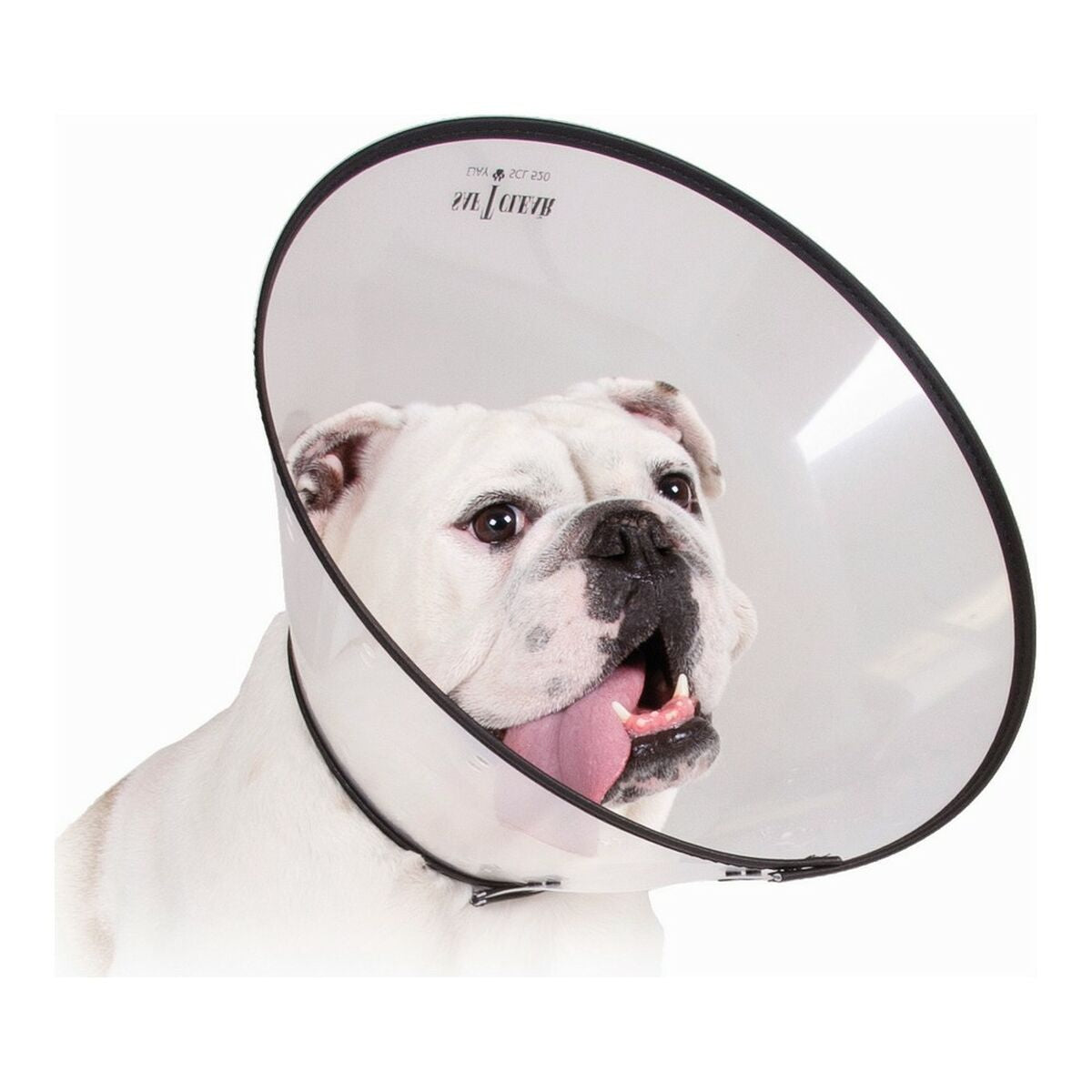 Collar for dogs KVP Saf-T-Clear Transparent (17-20 cm)