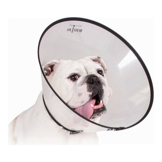 Collar for dogs KVP Saf-T-Clear Transparent (17-30 cm)