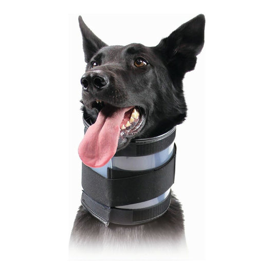 Neck support for dogs KVP Black (9-36 cm)