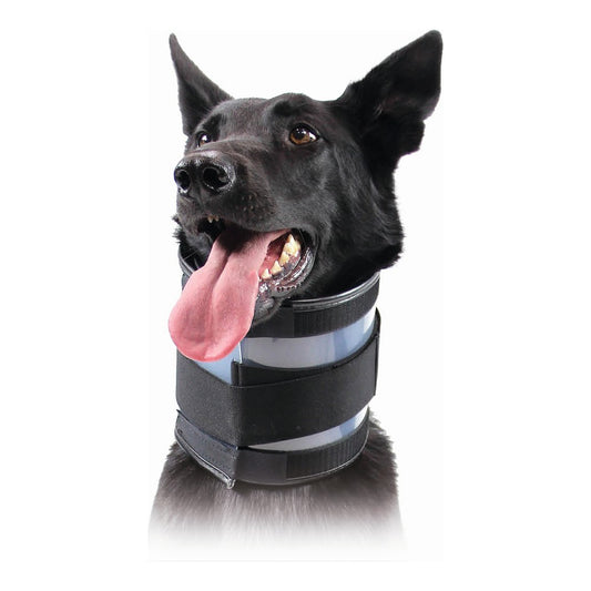Collar for dogs KVP Black