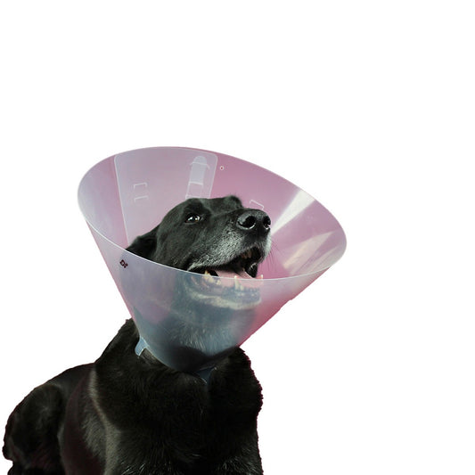 Collar for dogs KVP Betsy (33-40 cm)