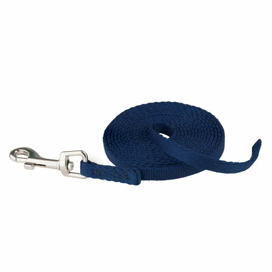 Dog leash Coachi Fitness Blue 2.5 m