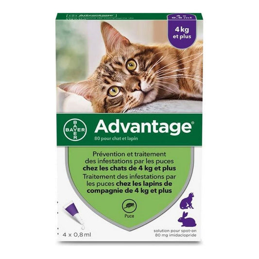 Antiparasitics Advantage Cat Rabbit +4 Kg 4 parts 0.8 ml
