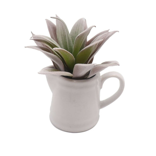 Decorative plant Versa Ceramic Plastic 11.43 x 11.94 x 11.43 cm