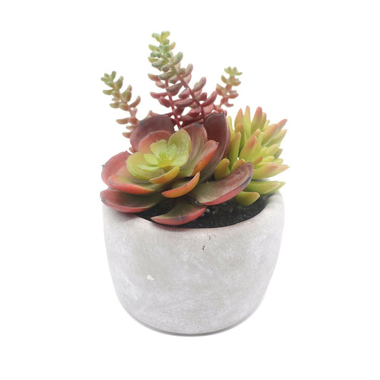 Decorative plant Versa Ceramic Plastic 12.7 x 15.24 x 12.7 cm