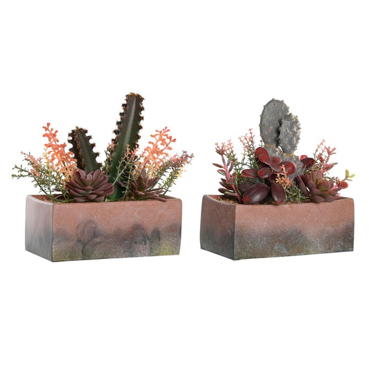 Decorative plant DKD Home Decor 19 x 9 x 22 cm Pink Orange Cactus Eva rubber polypropylene (2 parts)