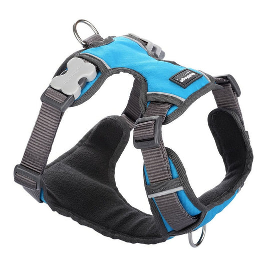Dog harness Red Dingo Turquoise XS size