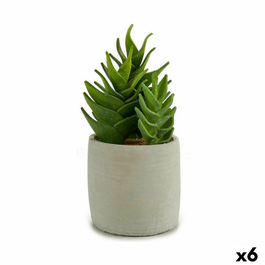 Ornamental plant Succulent plant Plastic 12 x 24 x 12 cm (6 parts)