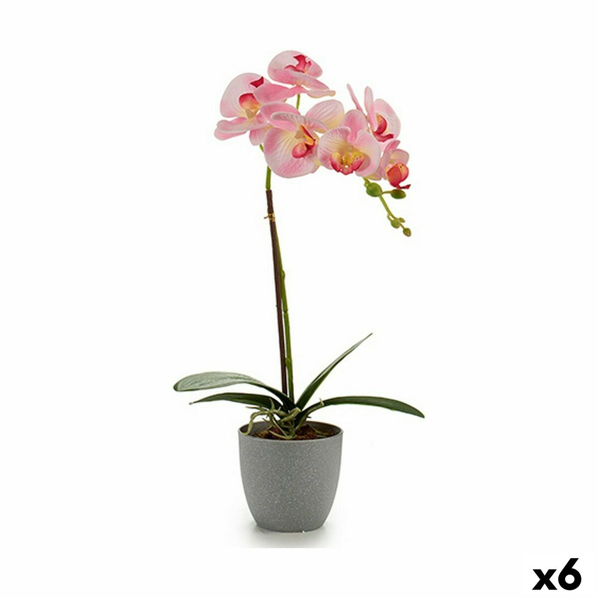 Ornamental plant Orchid Plastic 13 x 39 x 22 cm (6 parts)