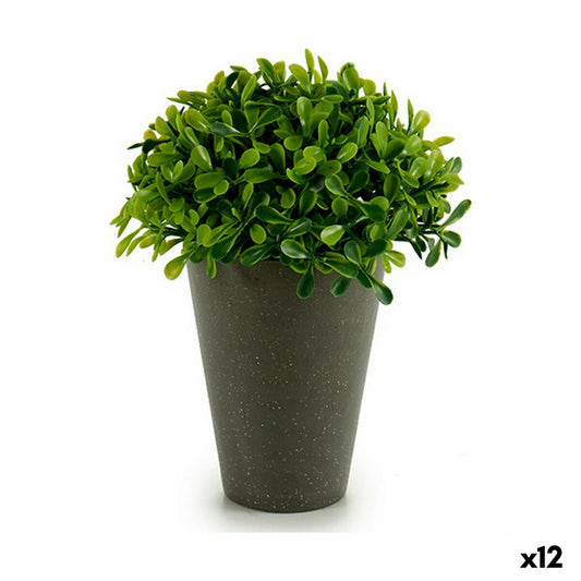 Decorative plant Plastic 13 x 16 x 13 cm Green Gray (12 parts)