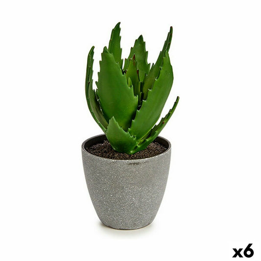 Ornamental plant Aloe Vera 14 x 21 x 14 cm Gray Green Plastic (6 parts)