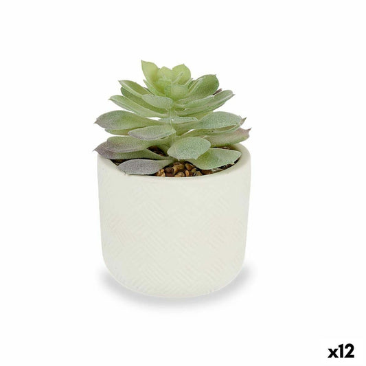Ornamental plant Succulent plant Plastic 14 x 13.5 x 14 cm (12 parts)